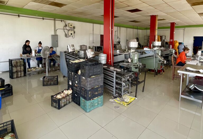 tempImage7Qujk3 768x529