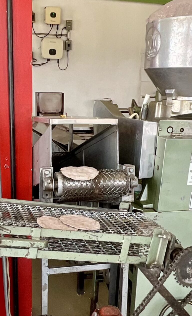 tempImageJLvwoU 768x1265