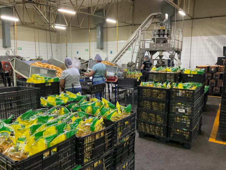 1a65379a 81ef 4855 b466 87921c2c2c99 768x576