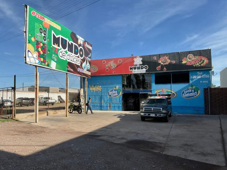 a10583fa 729a 4c2b a425 8d6a78b410f2 768x576