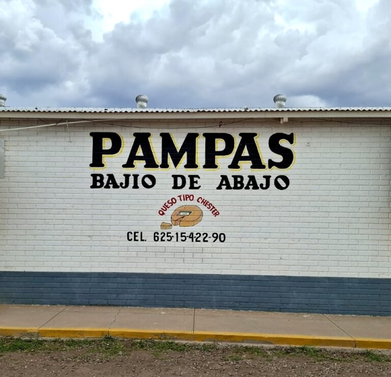 bf81af10 2b51 4b7d b803 54cf560eafef 1 768x740