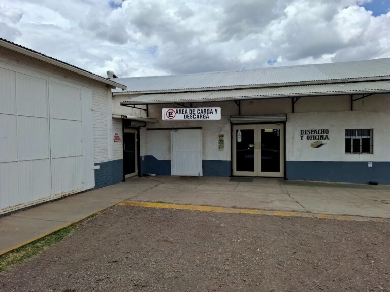 dd2c77db 3e4b 4f8b 80c2 cb593af2a3ed 768x576