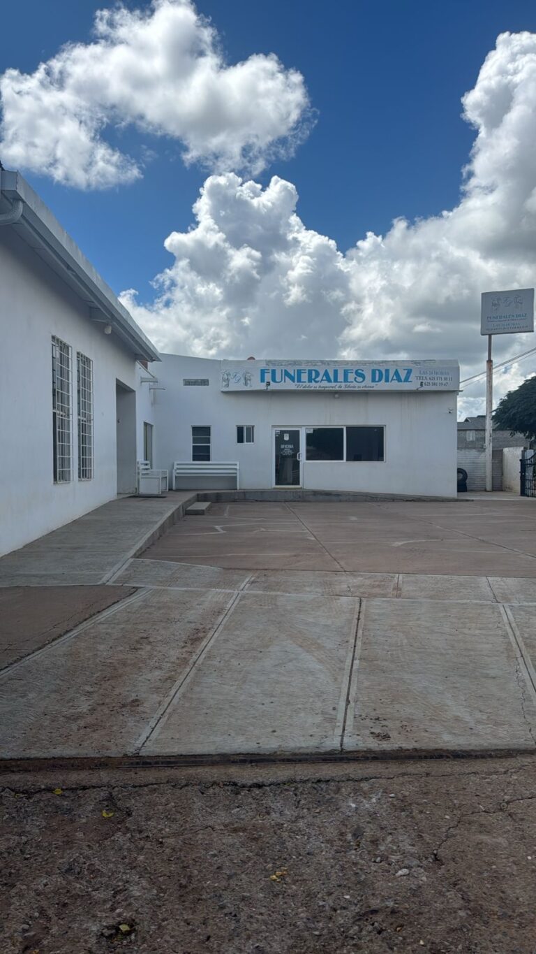 PHOTO 2025 08 27 11 39 55 768x1365