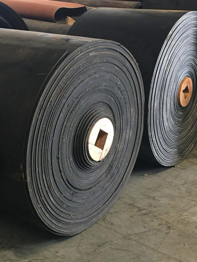 PHOTO 2026 02 20 11 36 14