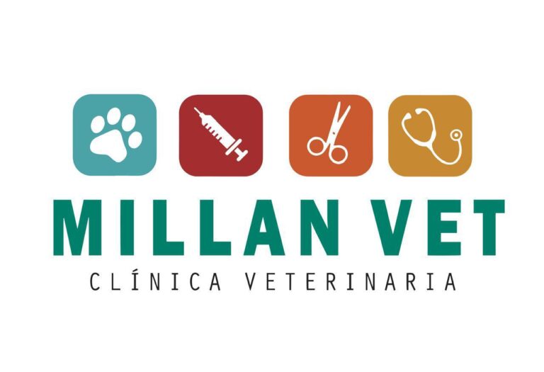 PHOTO 2026 02 20 13 51 41 768x525