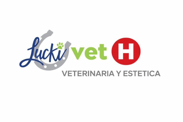 PHOTO 2026 02 25 09 32 13 768x512