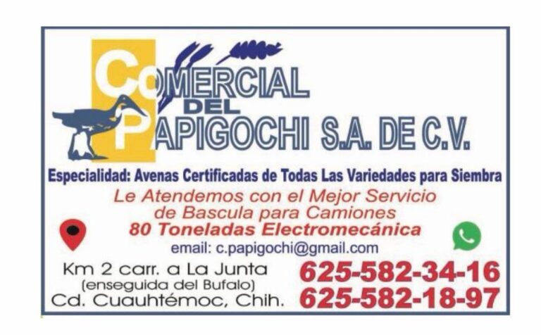 PHOTO 2026 04 10 10 03 09 768x476