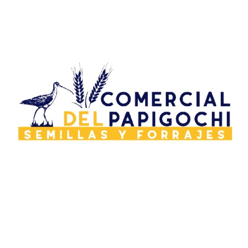 PHOTO 2026 04 10 10 56 52