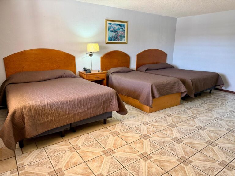 PHOTO 2026 04 13 09 57 22 768x576