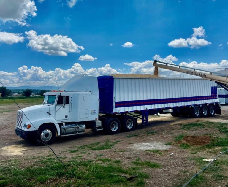 PHOTO 2026 04 13 12 34 56 768x630