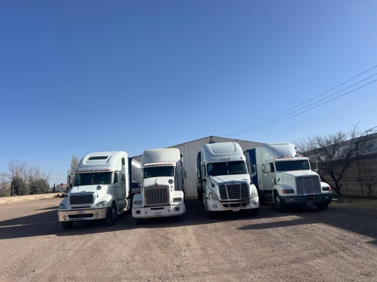 PHOTO 2026 04 13 12 35 42 768x576