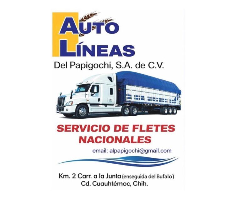 PHOTO 2026 04 13 13 02 47 768x650