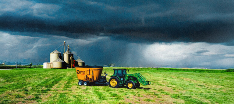 PHOTO 2026 04 24 15 24 30 768x344